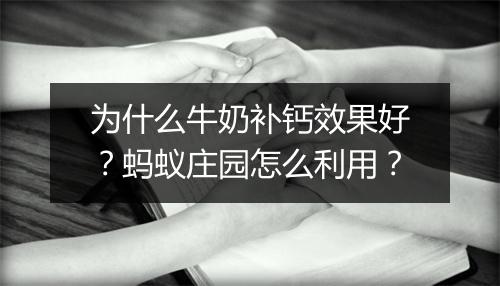 为什么牛奶补钙效果好？蚂蚁庄园怎么利用？
