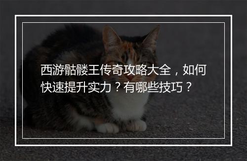 西游骷髅王传奇攻略大全，如何快速提升实力？有哪些技巧？