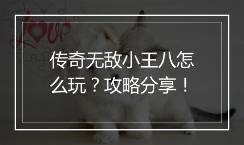 传奇无敌小王八怎么玩？攻略分享！