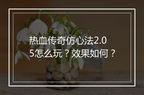 热血传奇仿心法2.05怎么玩？效果如何？