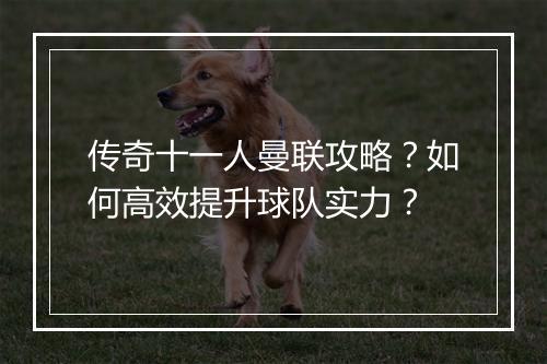传奇十一人曼联攻略？如何高效提升球队实力？