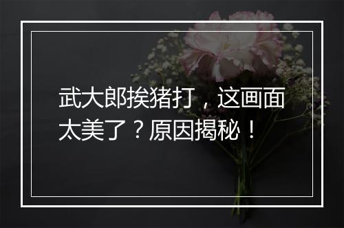 武大郎挨猪打，这画面太美了？原因揭秘！