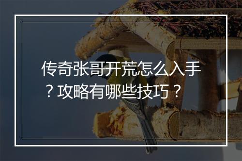 传奇张哥开荒怎么入手？攻略有哪些技巧？