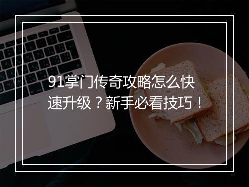 91掌门传奇攻略怎么快速升级？新手必看技巧！