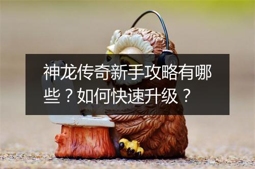 神龙传奇新手攻略有哪些？如何快速升级？