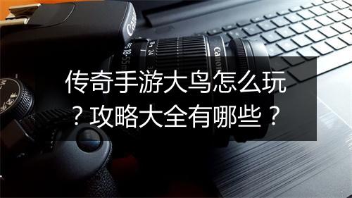 传奇手游大鸟怎么玩？攻略大全有哪些？