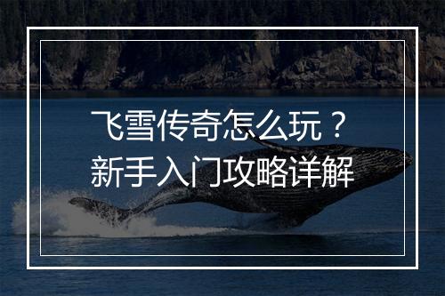 飞雪传奇怎么玩？新手入门攻略详解