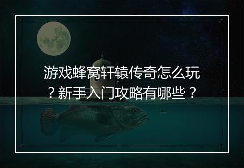 游戏蜂窝轩辕传奇怎么玩？新手入门攻略有哪些？