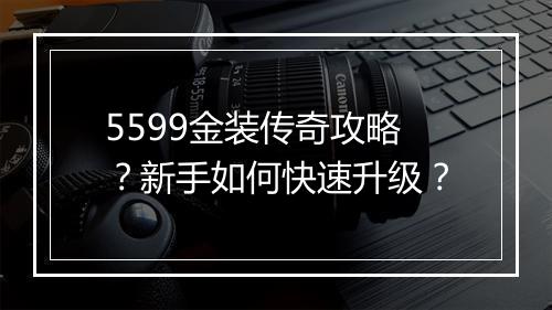 5599金装传奇攻略？新手如何快速升级？