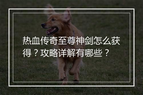 热血传奇至尊神剑怎么获得？攻略详解有哪些？