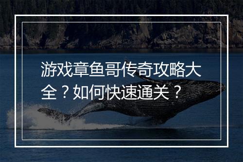 游戏章鱼哥传奇攻略大全？如何快速通关？