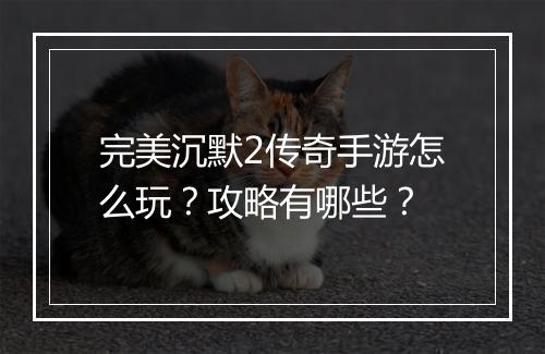 完美沉默2传奇手游怎么玩？攻略有哪些？