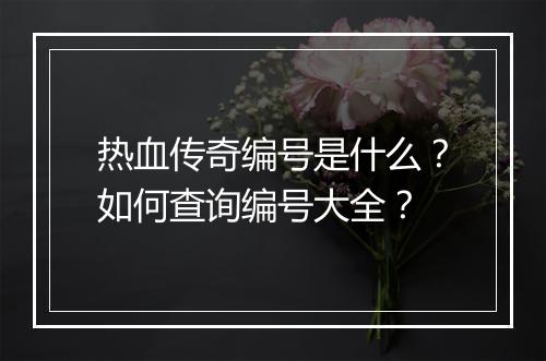 热血传奇编号是什么？如何查询编号大全？