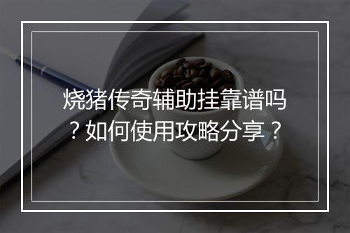 烧猪传奇辅助挂靠谱吗？如何使用攻略分享？