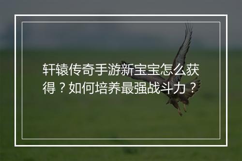 轩辕传奇手游新宝宝怎么获得?如何培养最强战斗力?