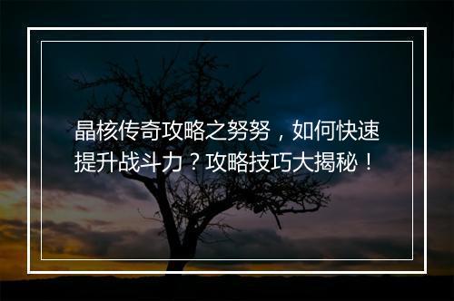 晶核传奇攻略之努努，如何快速提升战斗力？攻略技巧大揭秘！