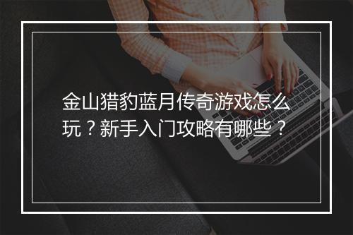 金山猎豹蓝月传奇游戏怎么玩？新手入门攻略有哪些？