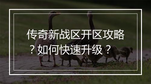 传奇新战区开区攻略？如何快速升级？