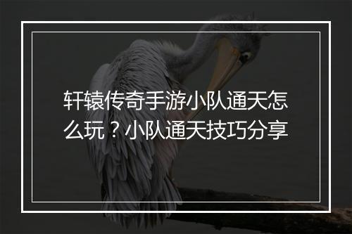 轩辕传奇手游小队通天怎么玩？小队通天技巧分享