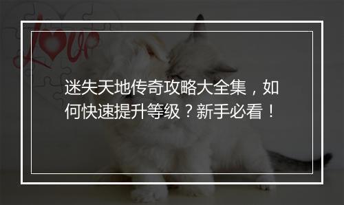 迷失天地传奇攻略大全集，如何快速提升等级？新手必看！