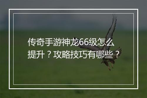 传奇手游神龙66级怎么提升？攻略技巧有哪些？