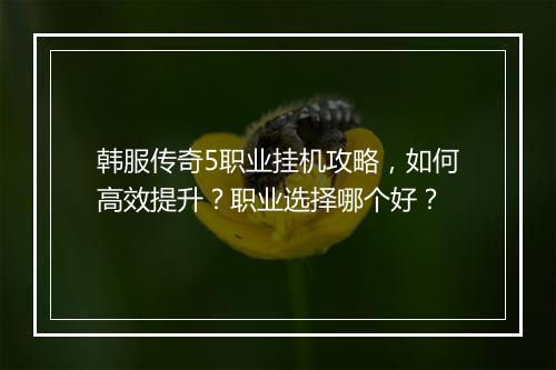 韩服传奇5职业挂机攻略，如何高效提升？职业选择哪个好？