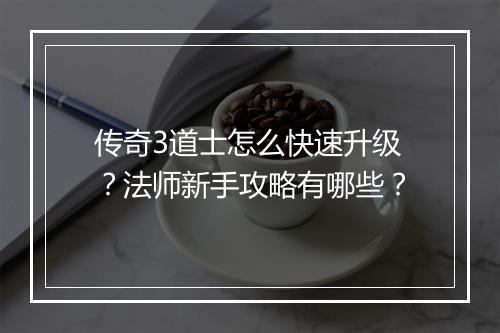 传奇3道士怎么快速升级？法师新手攻略有哪些？