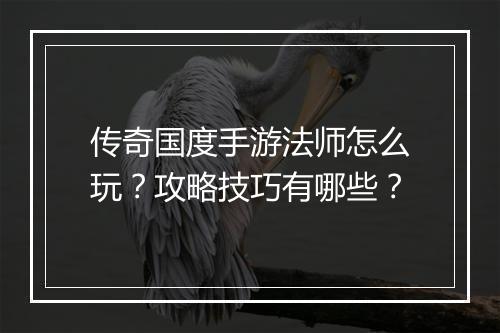 传奇国度手游法师怎么玩？攻略技巧有哪些？