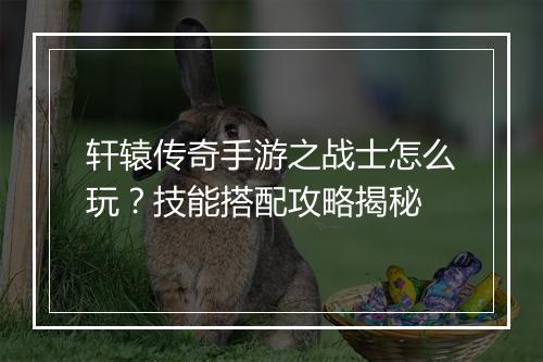 轩辕传奇手游之战士怎么玩？技能搭配攻略揭秘