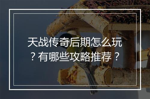 天战传奇后期怎么玩？有哪些攻略推荐？