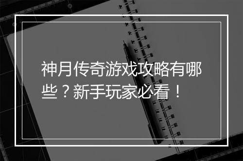 神月传奇游戏攻略有哪些？新手玩家必看！