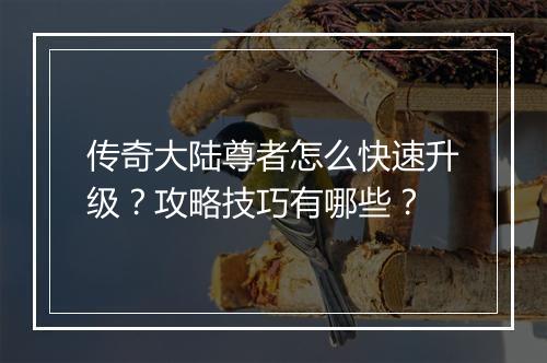 传奇大陆尊者怎么快速升级？攻略技巧有哪些？