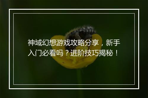 神域幻想游戏攻略分享，新手入门必看吗？进阶技巧揭秘！