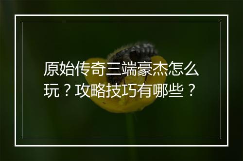 原始传奇三端豪杰怎么玩？攻略技巧有哪些？