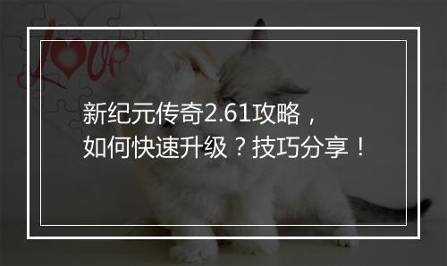 新纪元传奇2.61攻略，如何快速升级？技巧分享！