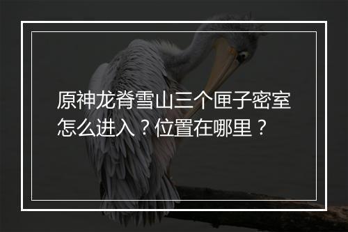 原神龙脊雪山三个匣子密室怎么进入？位置在哪里？