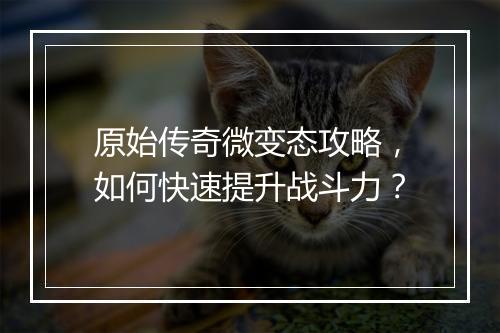 原始传奇微变态攻略，如何快速提升战斗力？
