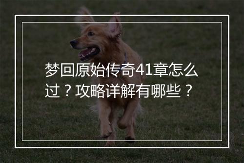 梦回原始传奇41章怎么过？攻略详解有哪些？