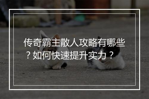 传奇霸主散人攻略有哪些？如何快速提升实力？