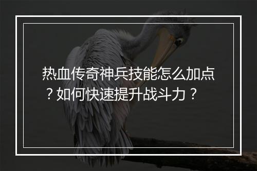 热血传奇神兵技能怎么加点？如何快速提升战斗力？