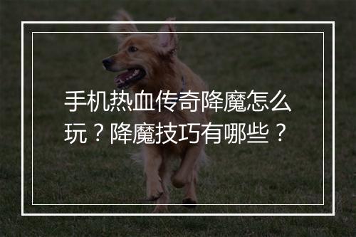 手机热血传奇降魔怎么玩？降魔技巧有哪些？