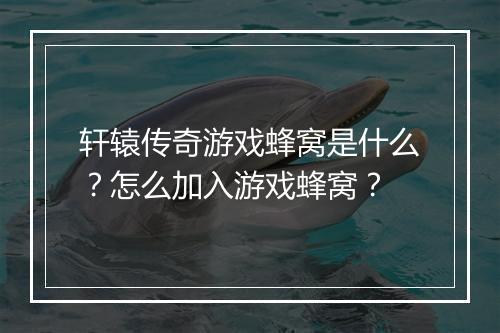 轩辕传奇游戏蜂窝是什么？怎么加入游戏蜂窝？