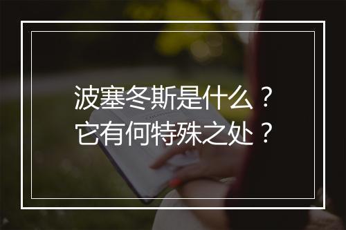 波塞冬斯是什么？它有何特殊之处？