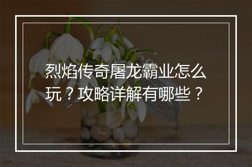 烈焰传奇屠龙霸业怎么玩？攻略详解有哪些？