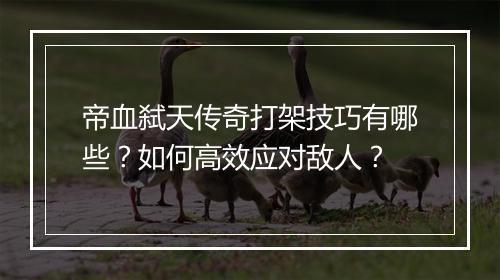帝血弑天传奇打架技巧有哪些？如何高效应对敌人？