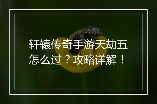 轩辕传奇手游天劫五怎么过？攻略详解！