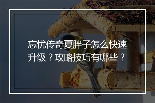 忘忧传奇夏胖子怎么快速升级？攻略技巧有哪些？