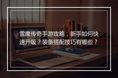 雪鹰传奇手游攻略，新手如何快速升级？装备搭配技巧有哪些？