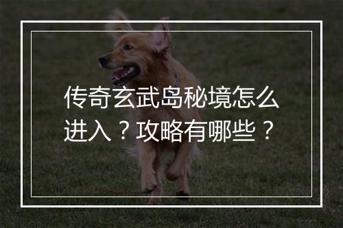 传奇玄武岛秘境怎么进入？攻略有哪些？
