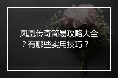 凤凰传奇简易攻略大全？有哪些实用技巧？